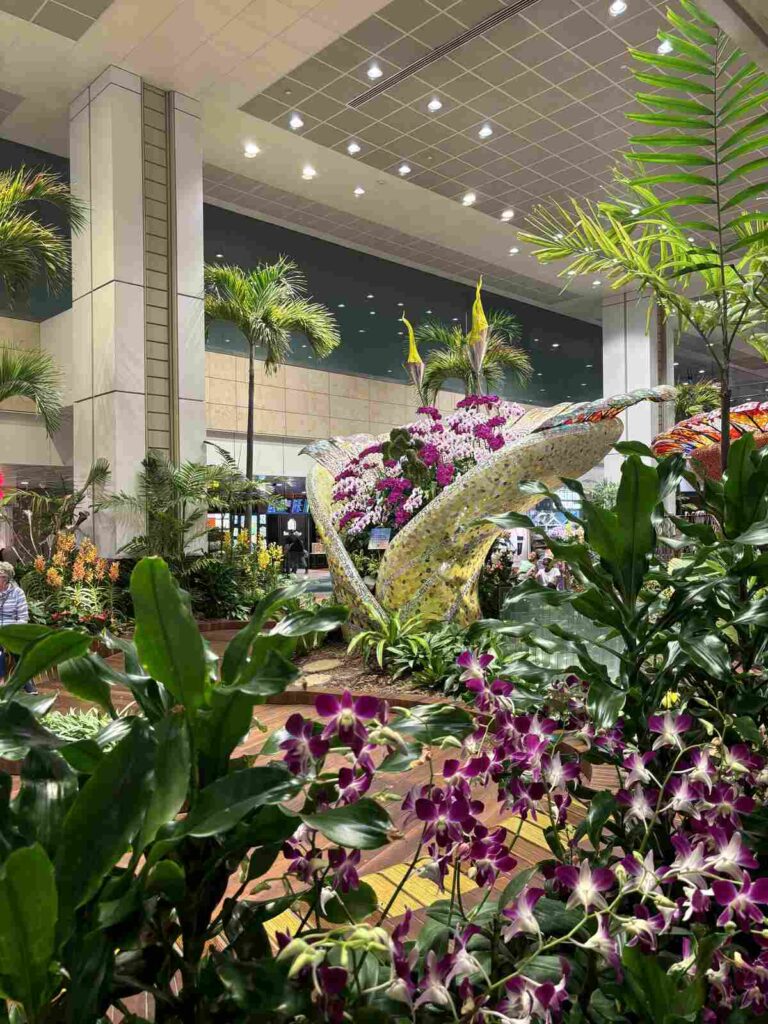 Jardín de Orquídeas aeropuerto singapur