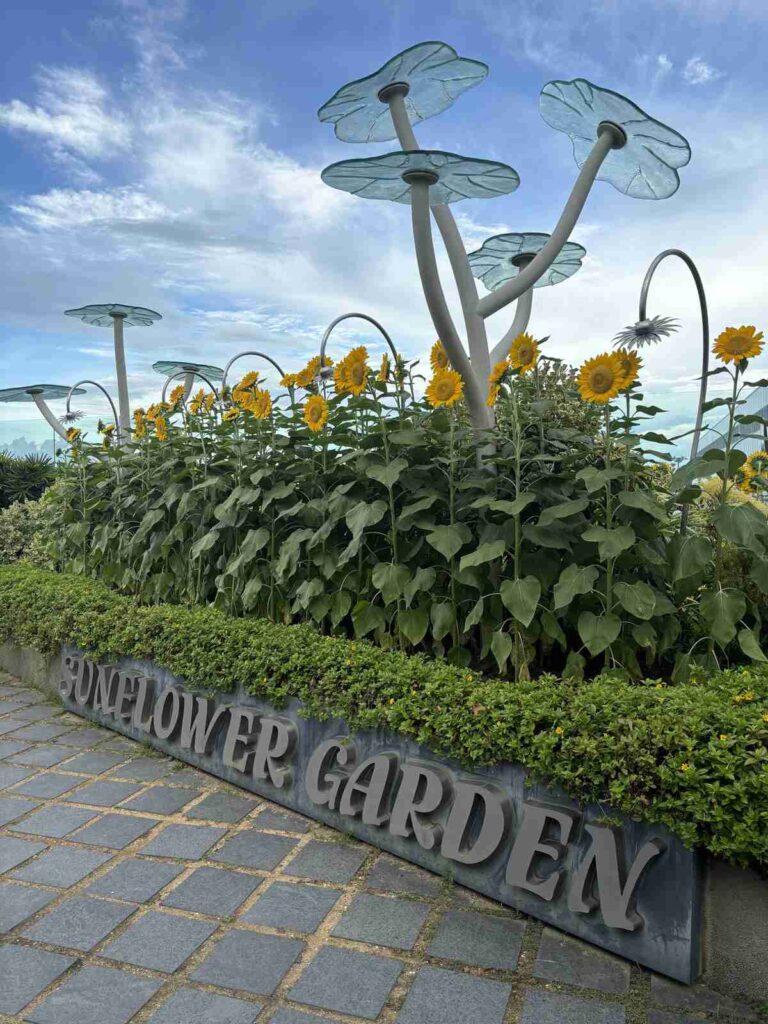 Jardín Girasoles, aeropuerto de Singapur