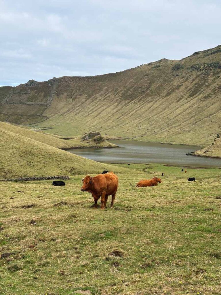 Trekking Caldeirão de corvo