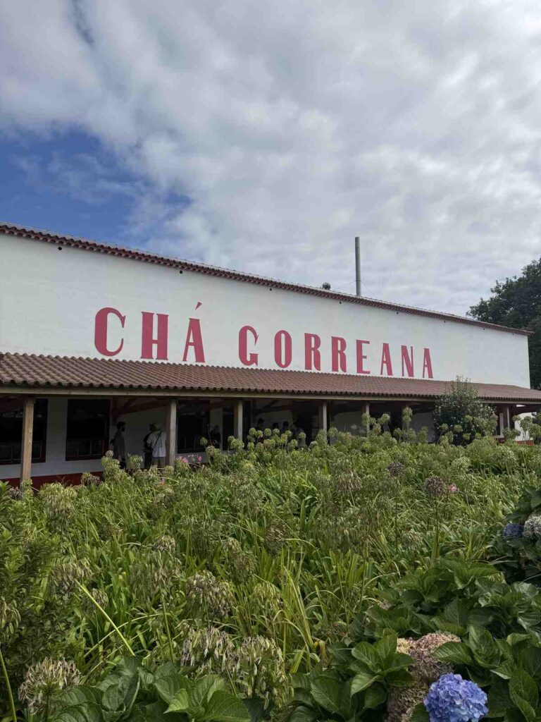 Chá Gorreana, fabrica de te en Sao Miguel