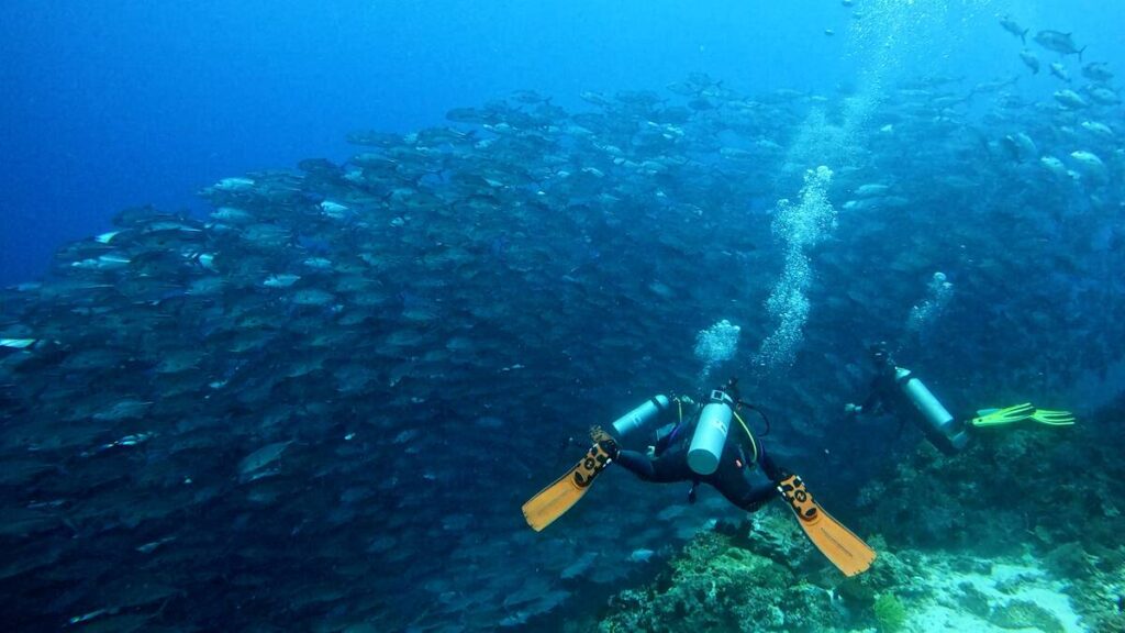 Buceando en Balicasag, Panglao